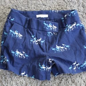 Loft Flamingo Shorts